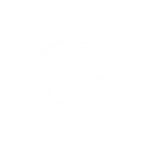 Icono estética dental