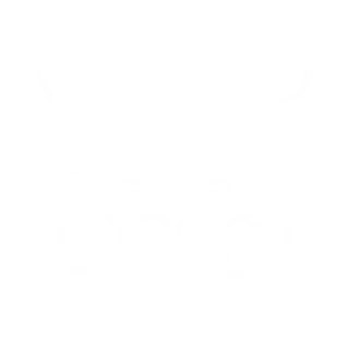 Icono prótesis dental